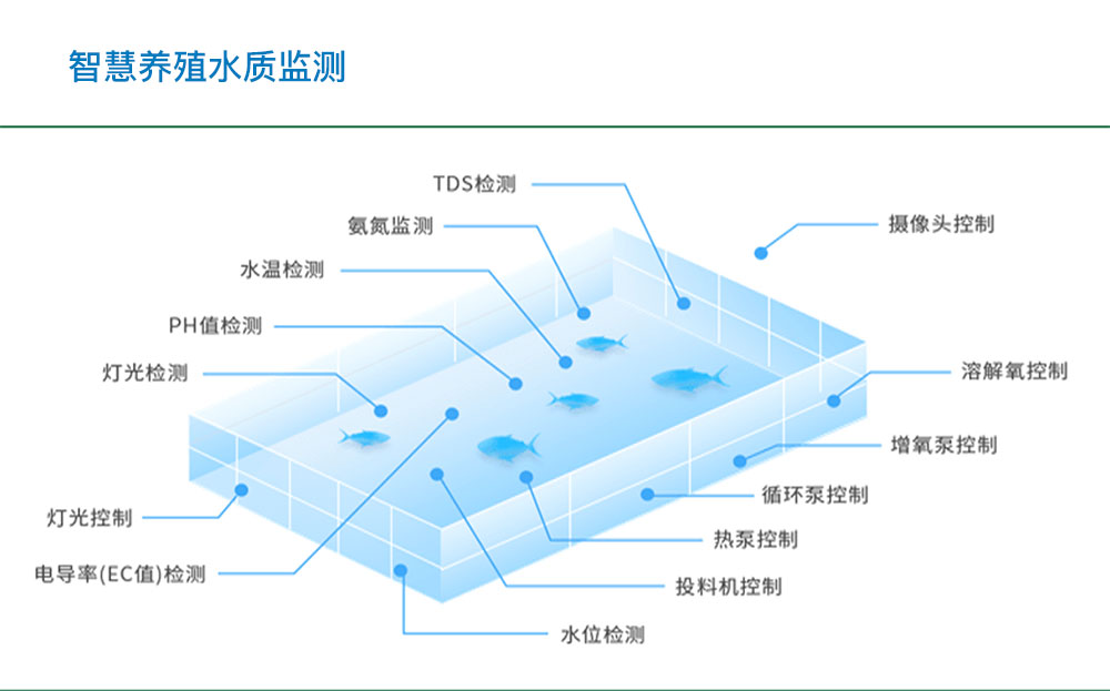 智慧水產(chǎn)養(yǎng)殖水質(zhì)監(jiān)測(cè)